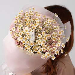 Букет ромашек танацетум